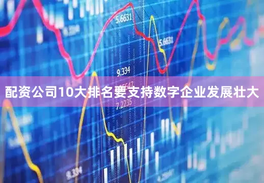 配资公司10大排名要支持数字企业发展壮大