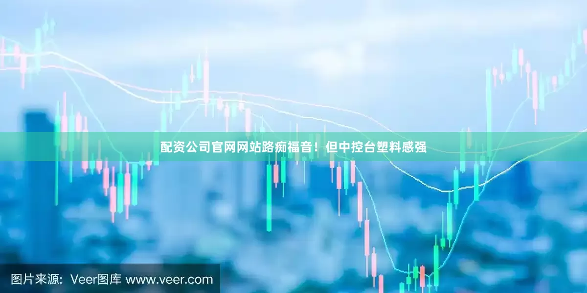 配资公司官网网站路痴福音！但中控台塑料感强