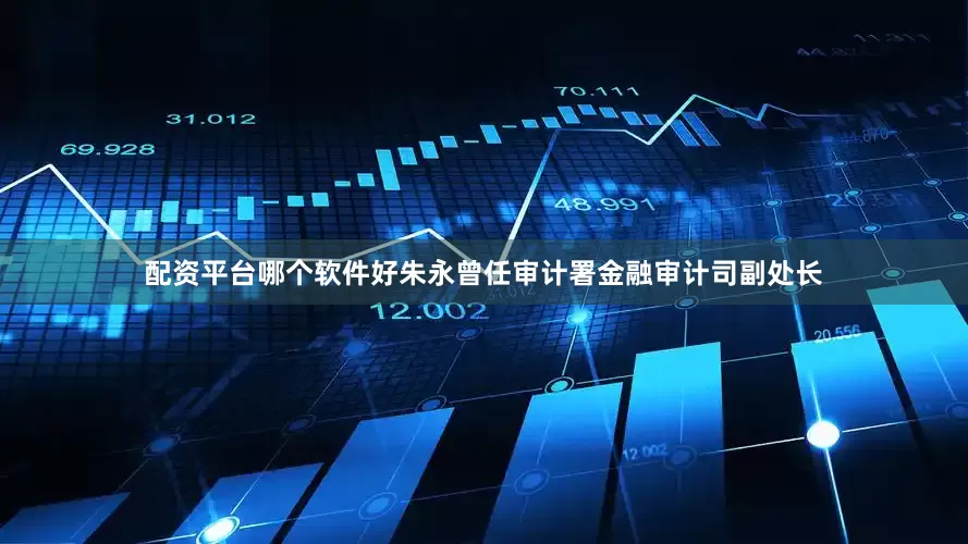 配资平台哪个软件好朱永曾任审计署金融审计司副处长